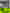 Il passo dell'assassino in streaming