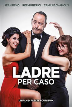 Ladre per caso in streaming
