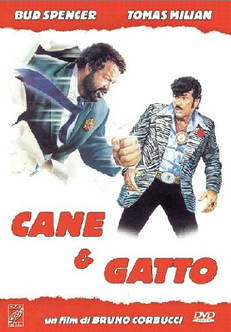 Cane e gatto in streaming