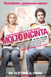 Molto incinta - Knocked Up in streaming