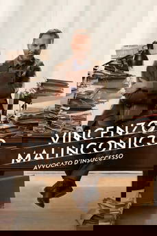 Vincenzo Malinconico, avvocato d'insuccesso in streaming