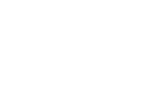 Tonno spiaggiato