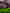 Star Trek: Enterprise in streaming