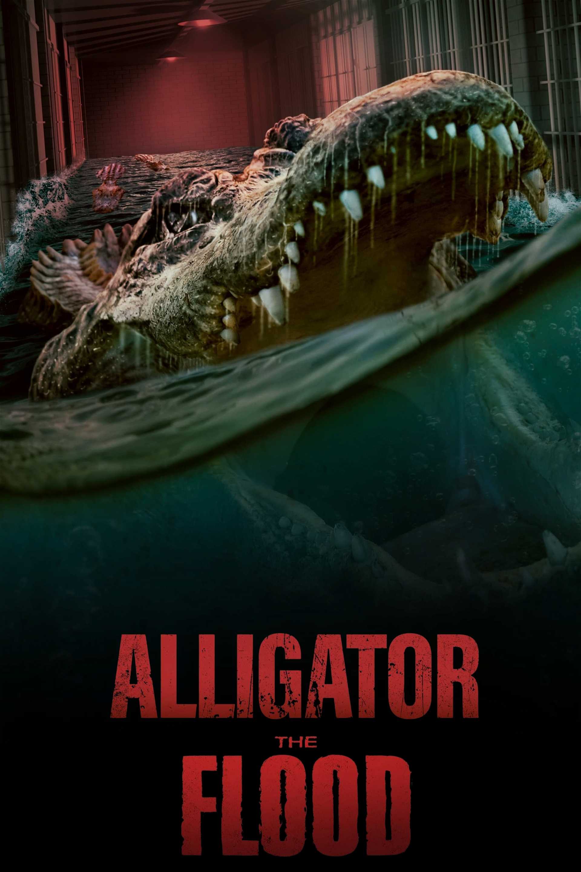 Alligator - The Flood in streaming