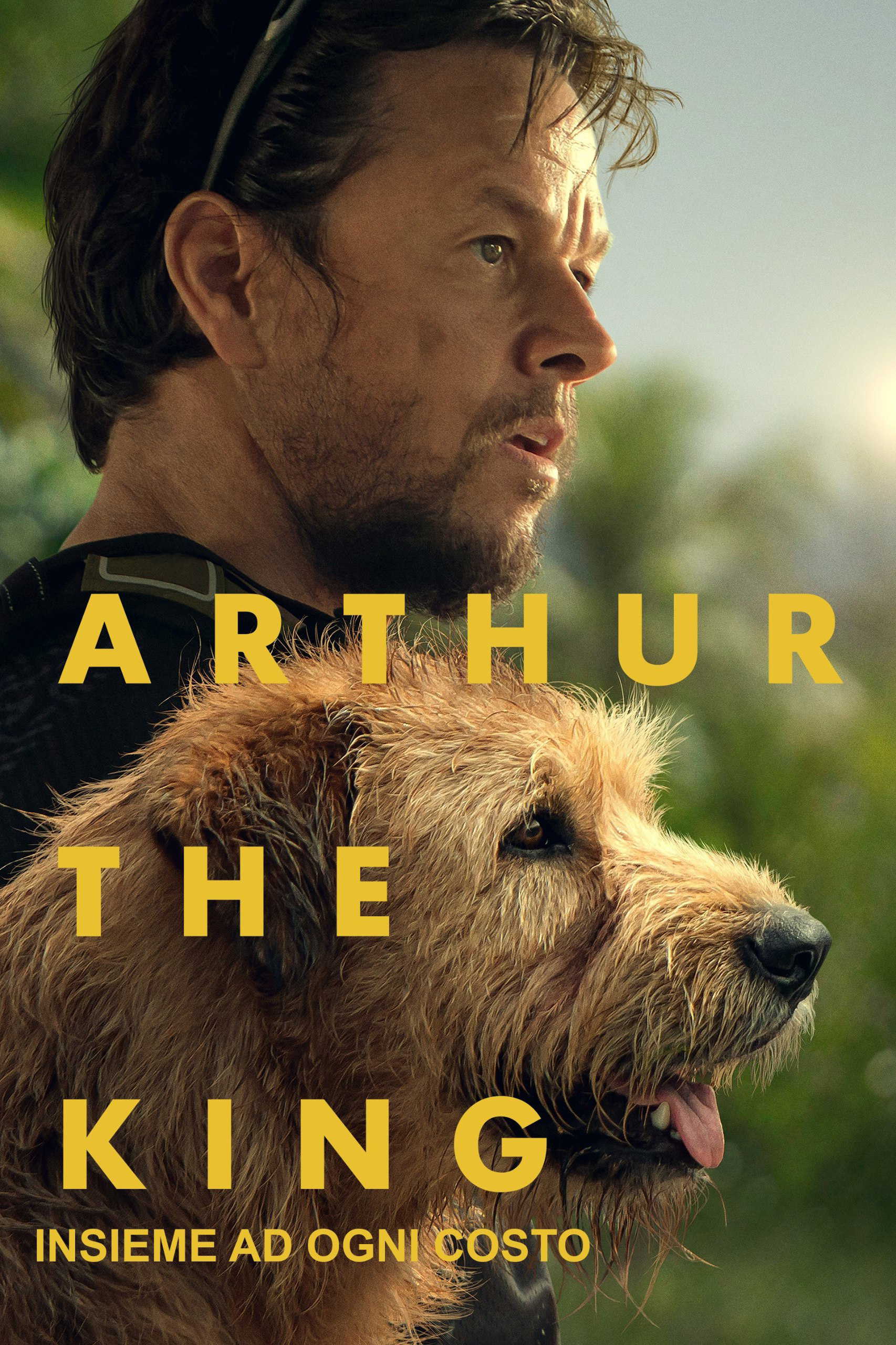 Arthur the King - Insieme ad ogni costo in streaming