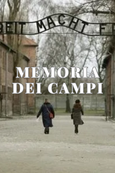 Memoria dei campi in streaming