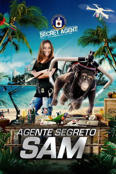Agente segreto Sam in streaming