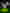 Alert - Missing Persons Unit in streaming