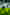 Paradis City in streaming