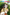 Isekai Farming - Vita contadina in un altro mondo in streaming