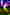 Spree [Sub-ITA] in streaming