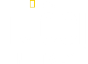 Tucci in Italy