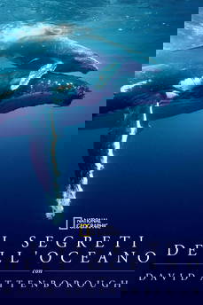 I segreti dell'oceano con David Attenborough [Sub-ITA] in streaming